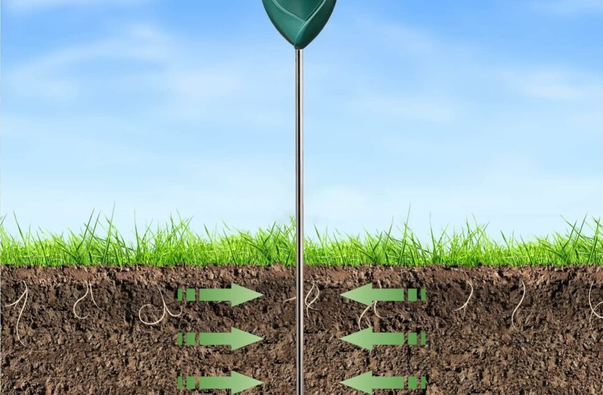 Capteur d'humidité pour plantes - comparatif des meilleurs modèles pour éviter l'arrosage excessif