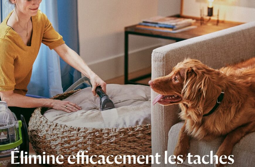 Top 3 meilleurs nettoyeurs de taches d'animaux 2024 - Avis, test, prix, comparatif et guide d'achat