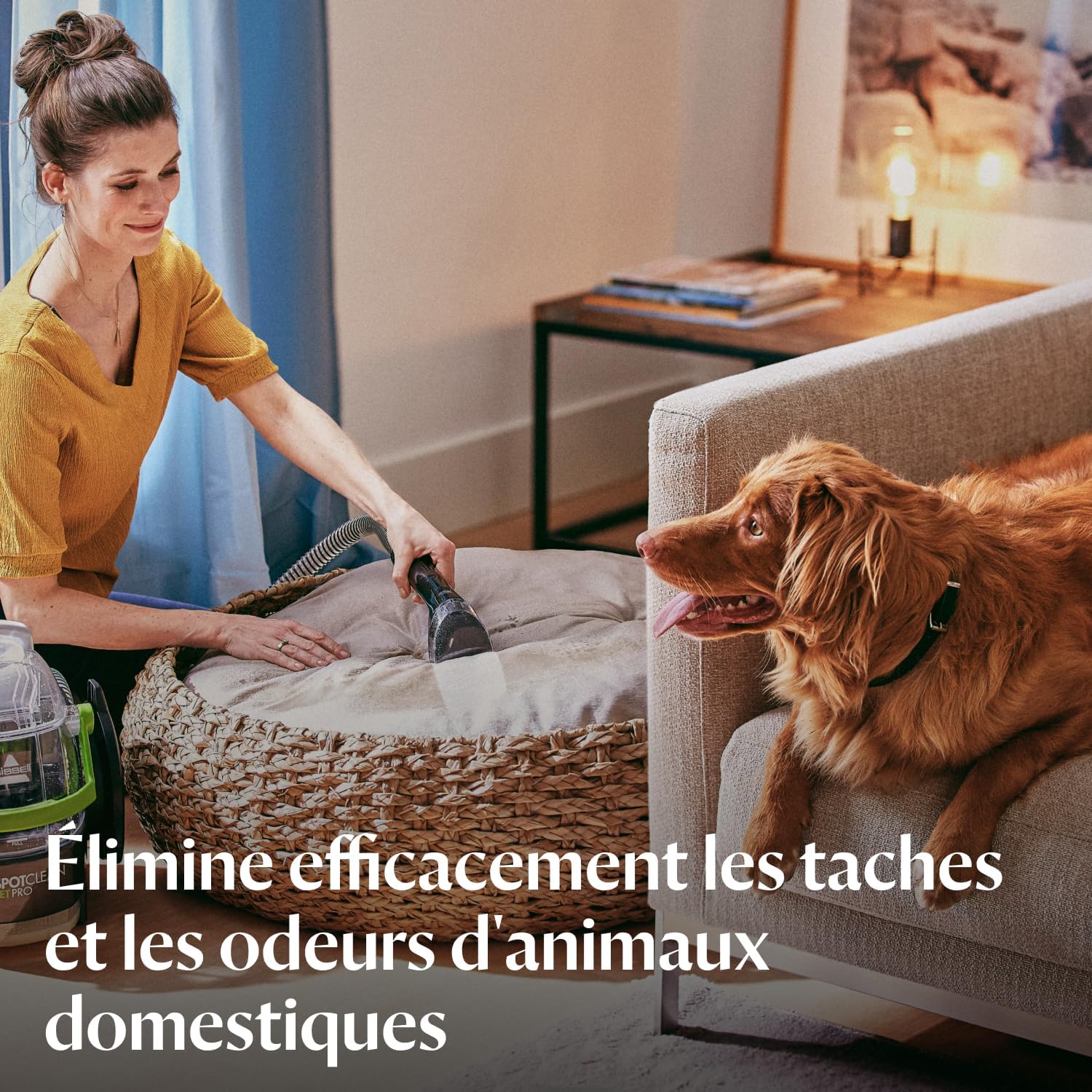 Top 3 meilleurs nettoyeurs de taches d'animaux 2024 - Avis, test, prix, comparatif et guide d'achat