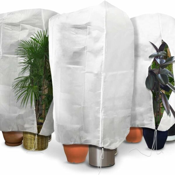 Meilleures housses d’hivernage pour plantes : protégez vos arbustes du froid efficacement
