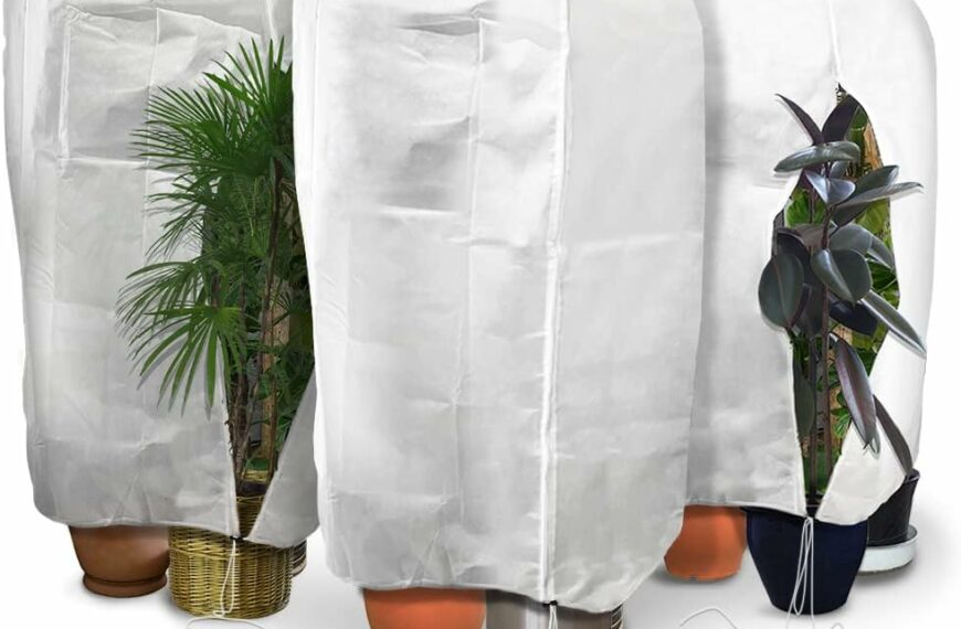 Meilleures housses d’hivernage pour plantes - protégez vos arbustes du froid efficacement