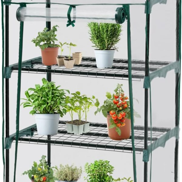 Mini-serres balcon 2025 : test & guide pour potager urbain réussi