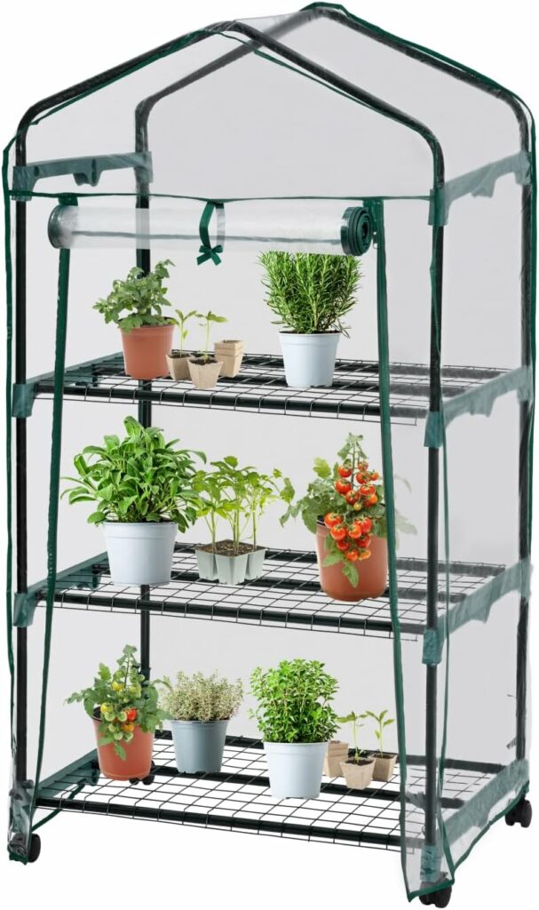 Mini-serres balcon 2025 : test & guide pour potager urbain réussi