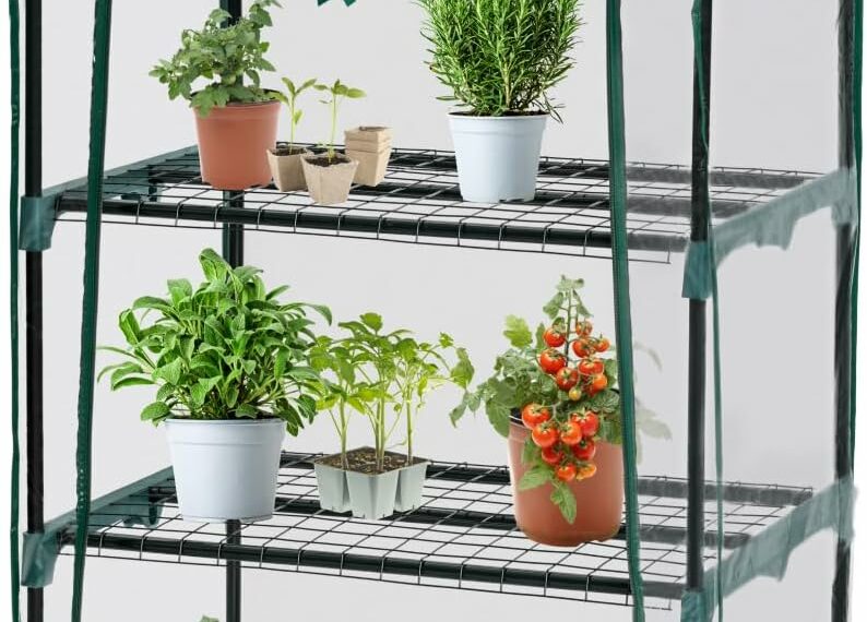 Mini-serres balcon 2025 : test & guide pour potager urbain réussi