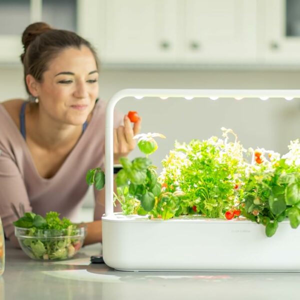 Potagers d’intérieur 2025 : les meilleurs bacs cultivables testés et approuvés