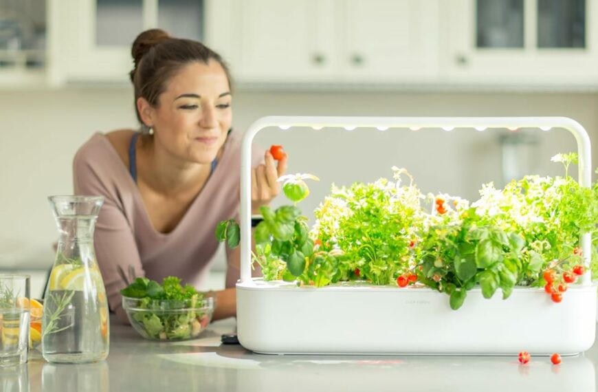 Potagers d’intérieur 2025 - les meilleurs bacs cultivables testés et approuvés