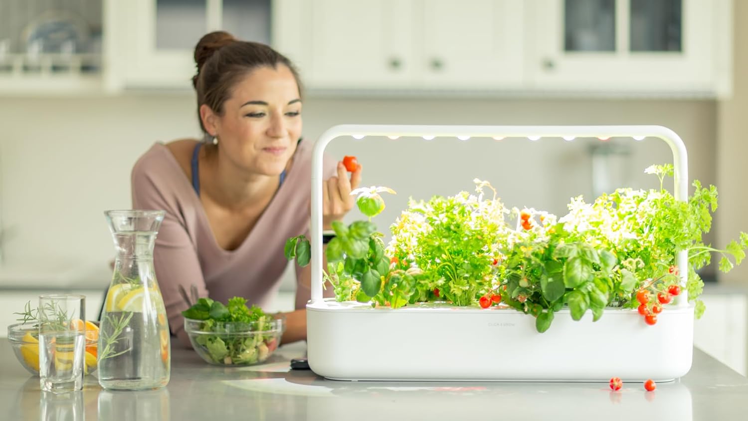 Potagers d’intérieur 2025 - les meilleurs bacs cultivables testés et approuvés